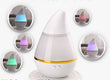 Mini Humidifier USB Aroma Atomizer Car Air Purifier - Gadgio