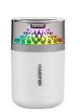 Humidifier USB Portable Air Hydrating Atomization Flower Mini Car Humidifier - Gadgio