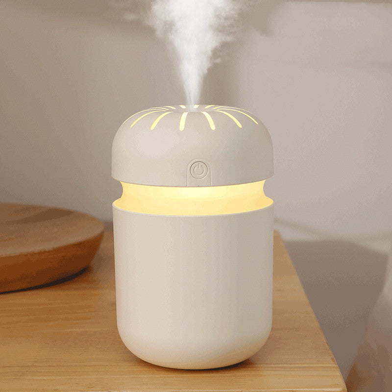 Home Creative Usb Air Humidifier - Gadgio