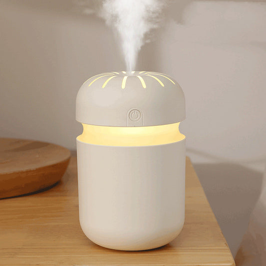 Home Creative Usb Air Humidifier - Gadgio