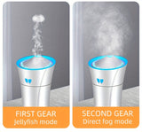 Car Humidifier Torch Shape Colorful Sound Pickup Atmosphere Light Air Purification Aromatherapy Humidifier - Gadgio